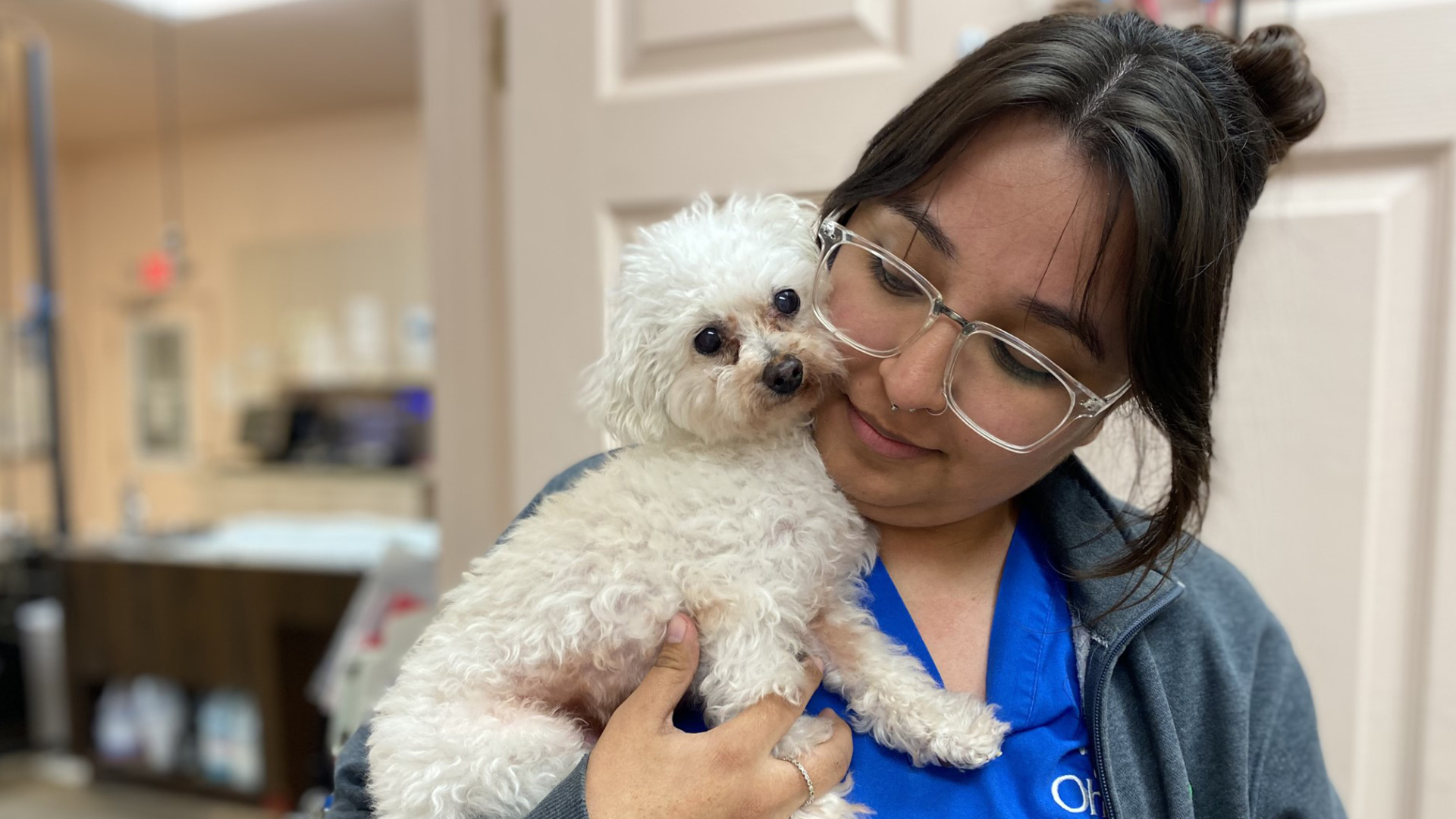 About Ohana Pet Hospital (Ventura And Santa Paula) | Vet In Ventura, CA ...