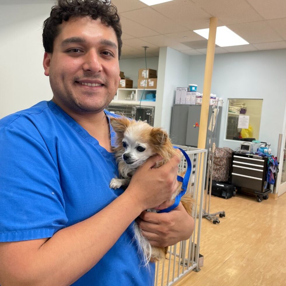 Ohana Pet Hospital (Ventura And Santa Paula) Gallery Vet Clinic In